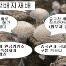 표고버섯 원산지표시의 이해 이미지