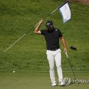 Green Colo 이미지