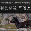 바른농장 이미지