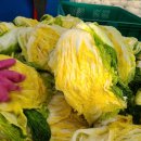 해돋이농장 이미지