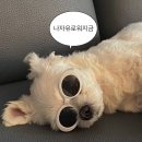 요가라이프 - 세종특별자치시 보듬3로 104-11 | 요가라이프