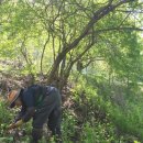 동처농장 이미지