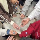 근화지역아동센터 | 전북 레진 출강 프로그램 | 진안 성수지역아동센터 14명 단체수업 후기