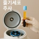 더동안의원 이미지