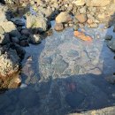 호텔 섬오름 이미지