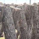 복학농장 이미지