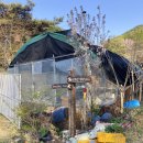 24.04.14 진천 만뢰산 원점회귀 등산코스(보탑사→만뢰산→갈미봉→자연생태공원→연곡저수지→ 보탑사)