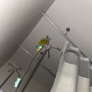 다이아비뇨의학과의원 이미지