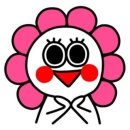 POP자격증 이미지