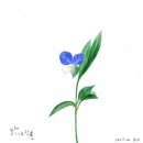 ON 숲 이미지