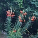 월현농장 이미지