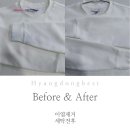 향동베스트세탁 이미지