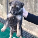 진교면사무소 이미지