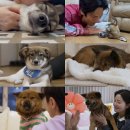 만세농장 이미지