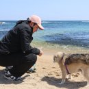 거진OK주유소 | 고성 애견동반 5월 여행 강아지와 가볼만한곳 청간해변