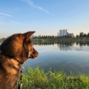 지안동물의료센터 이미지