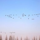 극락강역 이미지