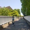 어울마당어린이공원 이미지