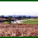 더 힐 골프 이미지