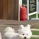 에이치제이글램핑
