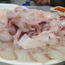 속천자연산횟집 네이버블로그