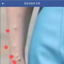 명신장갑 이미지
