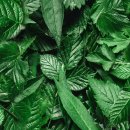 스마트프레쉬 이미지