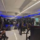 현대자동차정발산점 이미지