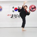 드림태권도전문도장 이미지