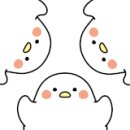 산호동129 이미지