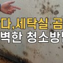 매직청소TV