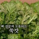 도리도리 이미지