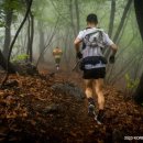 제11회 동두천 국제 트레일러닝 대회 이미지