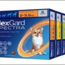 풍세일번약국 이미지