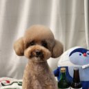 깡아지미용실 이미지