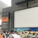 밤밤 - 음성군 | 부산 7월 축제 2026 대한민국 밤밤페스타 & 여행영화제 후기