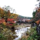 계룡산 | 계룡산 관음봉 후기와 필수 준비물 리스트