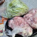 싼전수전 이미지