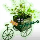 맥타가트 농장 이미지