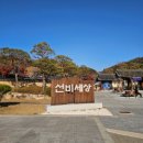 풍기홍삼찐빵