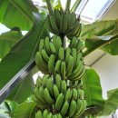 돌속농장 이미지