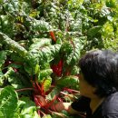 고향닭집 이미지