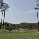 벙커구장 | 충북 명문 구장 센테리움CC 후기 : 악명 높은 항아리 벙커와 예쁜 조경