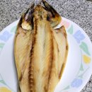 해수로참가자미 이미지