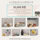 샤인플랜트 네이버블로그