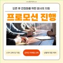 빨강다람쥐 이미지