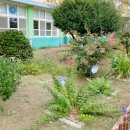 흥해서부초등학교 이미지