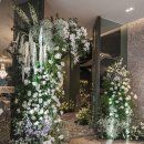 아바니센트럴 부산 이미지