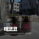 테코커피 | 분당 정자동 디저트 수제초콜릿 맛집 테코코 후기