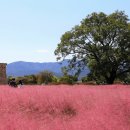 연꽃못작은도서관 이미지